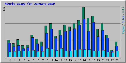 Hourly usage for January 2019